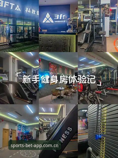 B体育功能实用指南：老用户带你玩转BST体育平台的全新体验